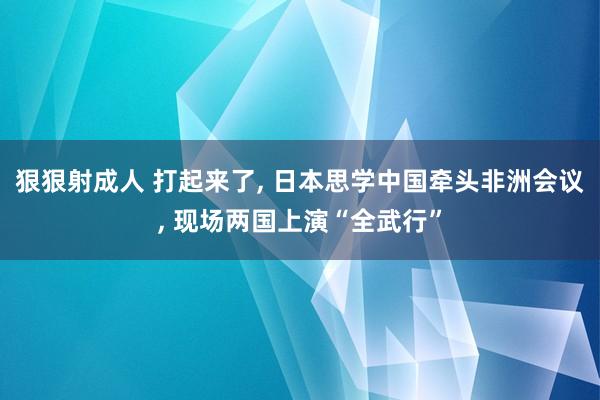 狠狠射成人 打起来了, 日本思学中国牵头非洲会议, 现场两国上演“全武行”