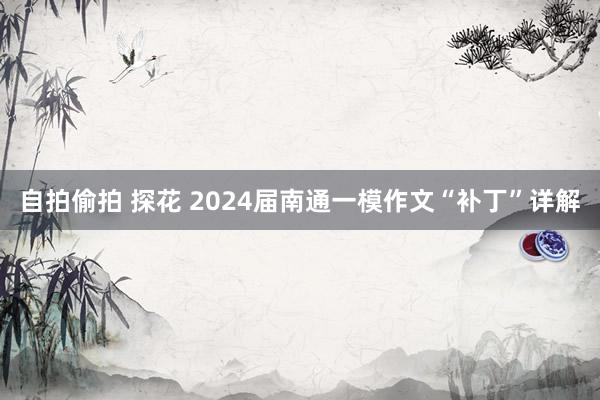 自拍偷拍 探花 2024届南通一模作文“补丁”详解