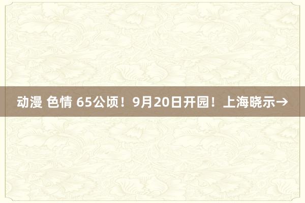 动漫 色情 65公顷！9月20日开园！上海晓示→