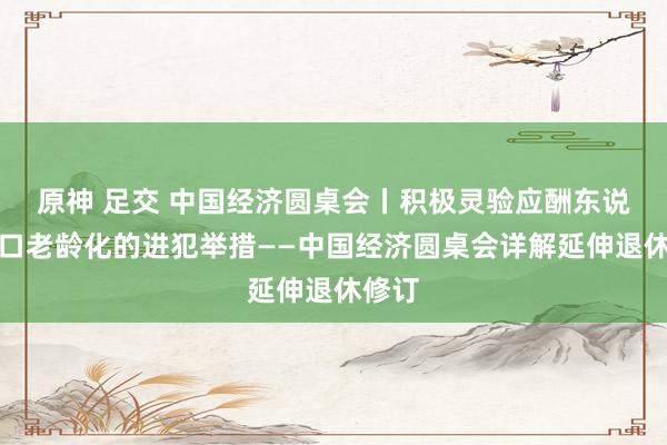 原神 足交 中国经济圆桌会丨积极灵验应酬东说念主口老龄化的进犯举措——中国经济圆桌会详解延伸退休修订