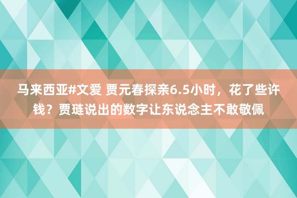 马来西亚#文爱 贾元春探亲6.5小时，花了些许钱？贾琏说出的数字让东说念主不敢敬佩