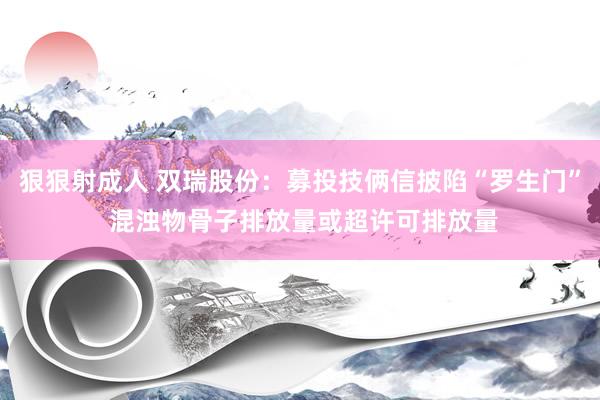 狠狠射成人 双瑞股份：募投技俩信披陷“罗生门” 混浊物骨子排放量或超许可排放量