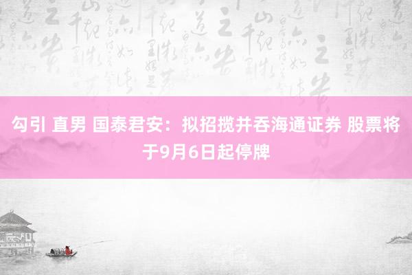 勾引 直男 国泰君安：拟招揽并吞海通证券 股票将于9月6日起停牌