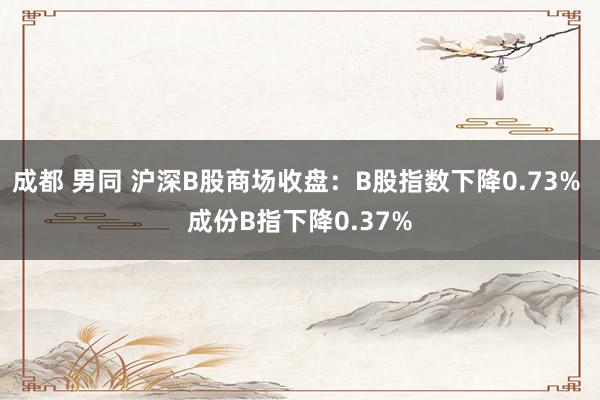 成都 男同 沪深B股商场收盘：B股指数下降0.73% 成份B指下降0.37%