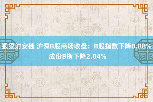 狠狠射安捷 沪深B股商场收盘：B股指数下降0.88% 成份B指下降2.04%