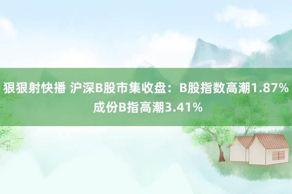 狠狠射快播 沪深B股市集收盘：B股指数高潮1.87% 成份B指高潮3.41%