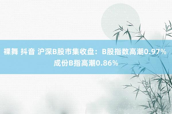 裸舞 抖音 沪深B股市集收盘：B股指数高潮0.97% 成份B指高潮0.86%