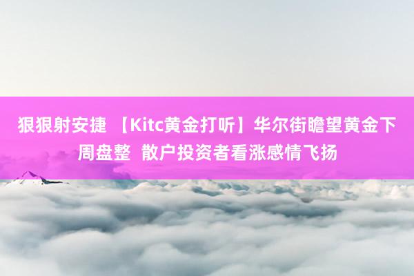 狠狠射安捷 【Kitc黄金打听】华尔街瞻望黄金下周盘整  散户投资者看涨感情飞扬