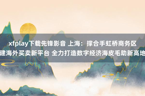 xfplay下载先锋影音 上海：撑合手虹桥商务区建海外买卖新平台 全力打造数字经济海皮毛助新高地