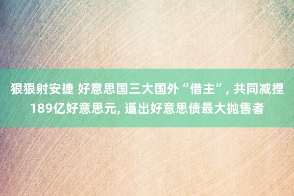 狠狠射安捷 好意思国三大国外“借主”, 共同减捏189亿好意思元, 逼出好意思债最大抛售者