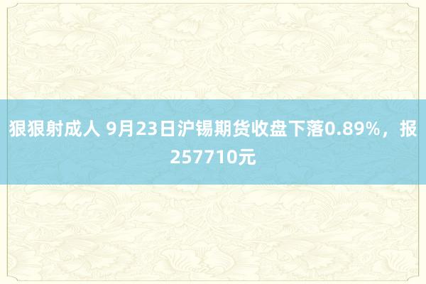 狠狠射成人 9月23日沪锡期货收盘下落0.89%，报257710元