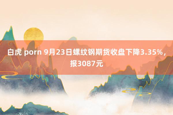 白虎 porn 9月23日螺纹钢期货收盘下降3.35%，报3087元