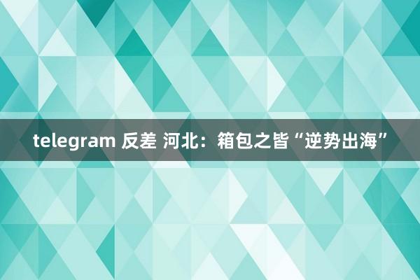 telegram 反差 河北：箱包之皆“逆势出海”