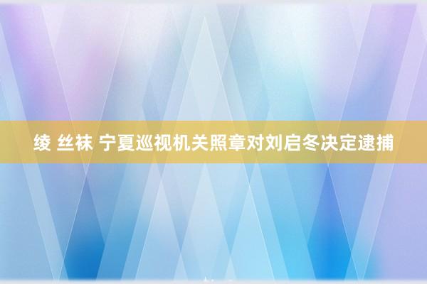 绫 丝袜 宁夏巡视机关照章对刘启冬决定逮捕