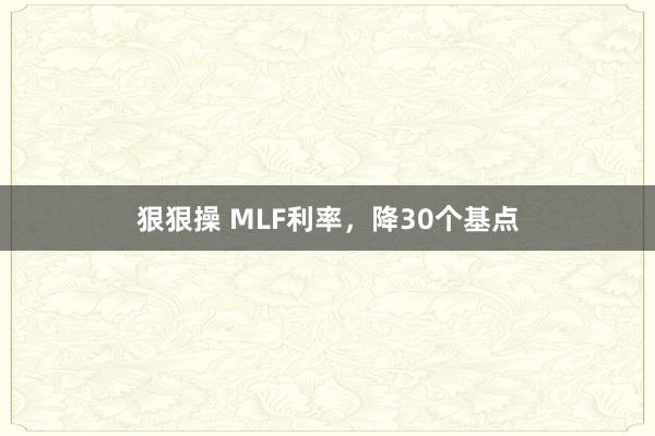 狠狠操 MLF利率，降30个基点