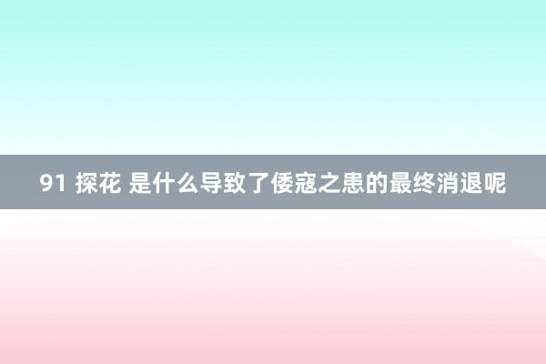 91 探花 是什么导致了倭寇之患的最终消退呢