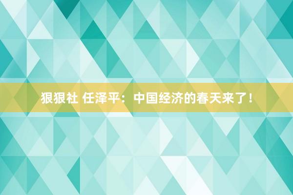 狠狠社 任泽平：中国经济的春天来了！