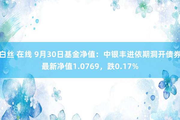 白丝 在线 9月30日基金净值：中银丰进依期洞开债券最新净值1.0769，跌0.17%