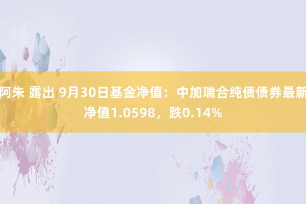 阿朱 露出 9月30日基金净值：中加瑞合纯债债券最新净值1.0598，跌0.14%