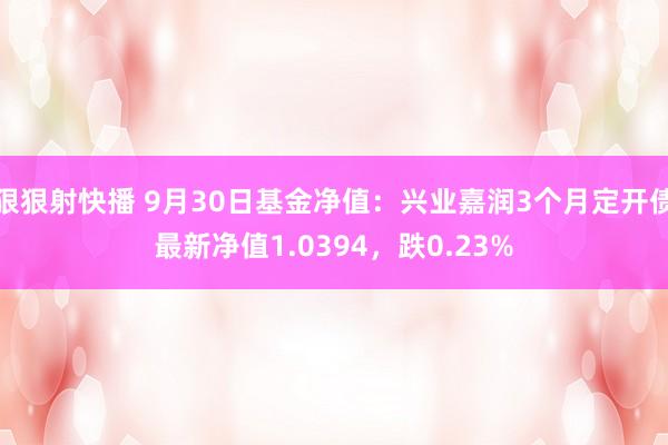 狠狠射快播 9月30日基金净值：兴业嘉润3个月定开债最新净值1.0394，跌0.23%