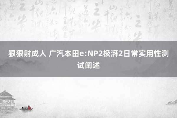 狠狠射成人 广汽本田e:NP2极湃2日常实用性测试阐述