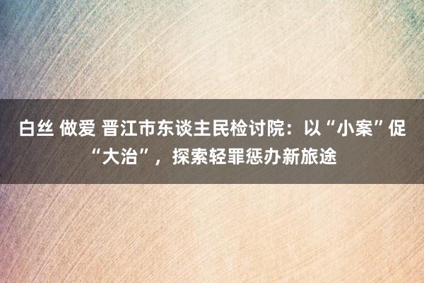 白丝 做爱 晋江市东谈主民检讨院：以“小案”促“大治”，探索轻罪惩办新旅途