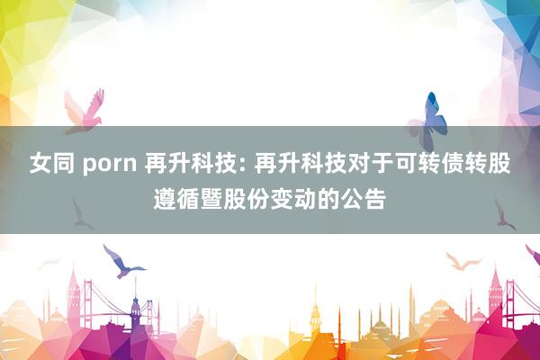 女同 porn 再升科技: 再升科技对于可转债转股遵循暨股份变动的公告