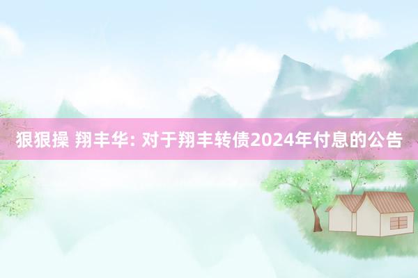 狠狠操 翔丰华: 对于翔丰转债2024年付息的公告