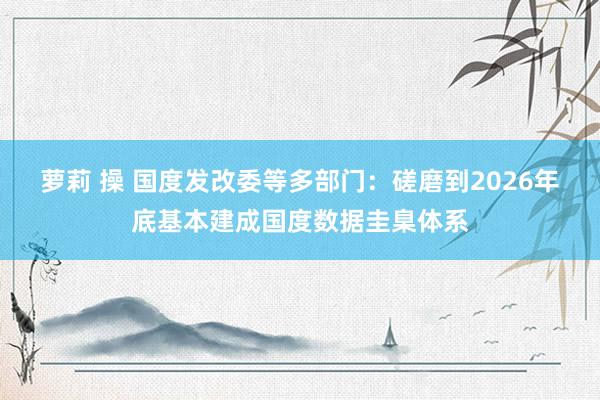 萝莉 操 国度发改委等多部门：磋磨到2026年底基本建成国度数据圭臬体系