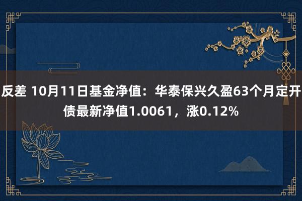 反差 10月11日基金净值：华泰保兴久盈63个月定开债最新净值1.0061，涨0.12%