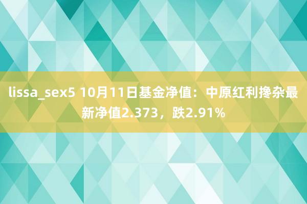 lissa_sex5 10月11日基金净值：中原红利搀杂最新净值2.373，跌2.91%