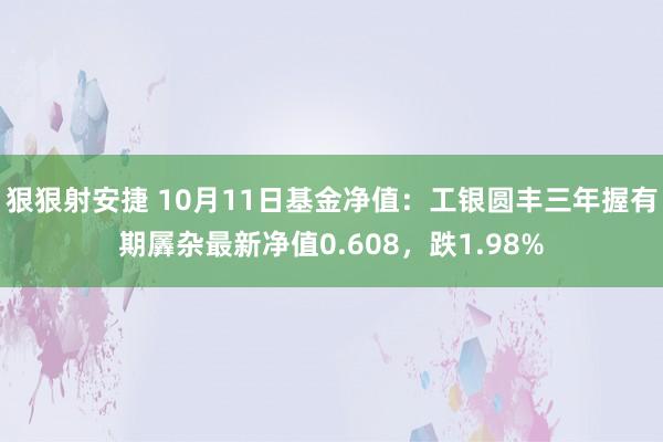 狠狠射安捷 10月11日基金净值：工银圆丰三年握有期羼杂最新净值0.608，跌1.98%