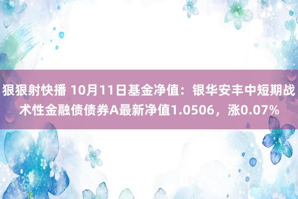 狠狠射快播 10月11日基金净值：银华安丰中短期战术性金融债债券A最新净值1.0506，涨0.07%