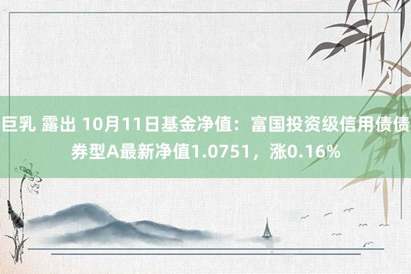 巨乳 露出 10月11日基金净值：富国投资级信用债债券型A最新净值1.0751，涨0.16%