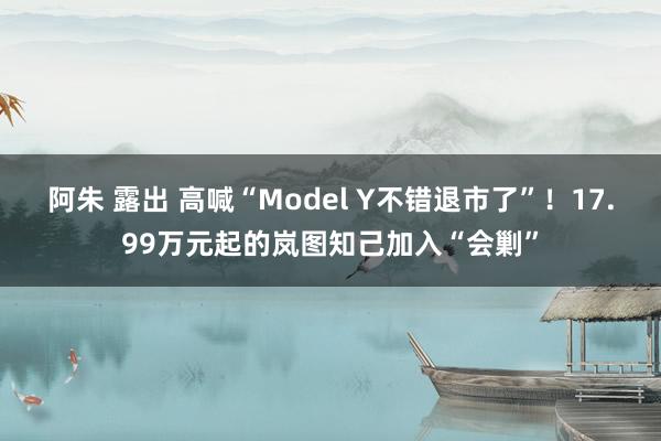 阿朱 露出 高喊“Model Y不错退市了”！17.99万元起的岚图知己加入“会剿”