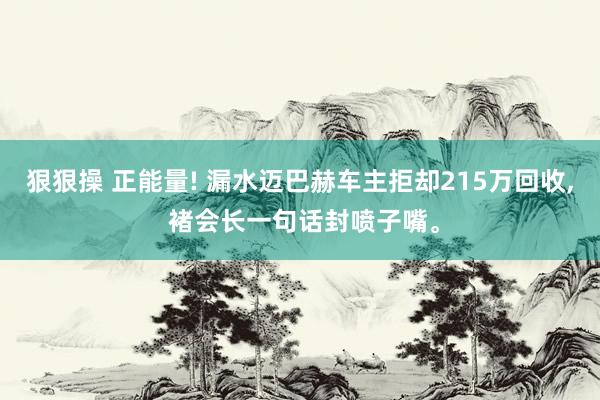 狠狠操 正能量! 漏水迈巴赫车主拒却215万回收, 褚会长一句话封喷子嘴。