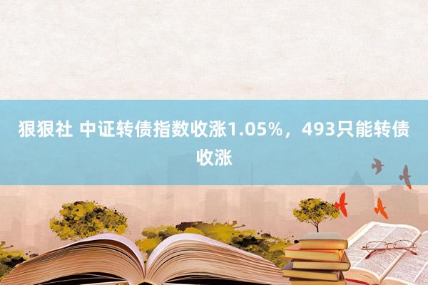 狠狠社 中证转债指数收涨1.05%，493只能转债收涨