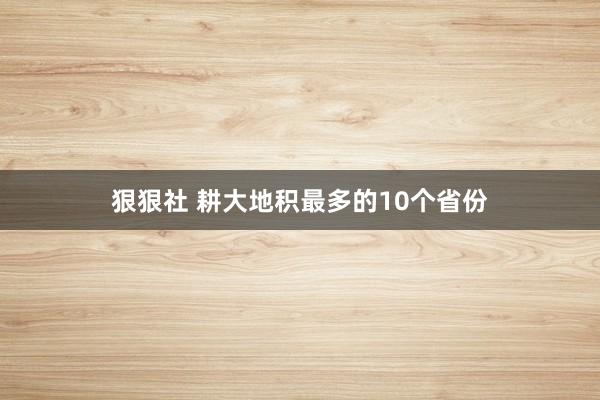 狠狠社 耕大地积最多的10个省份