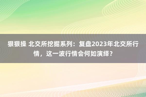 狠狠操 北交所挖掘系列：复盘2023年北交所行情，这一波行情会何如演绎？