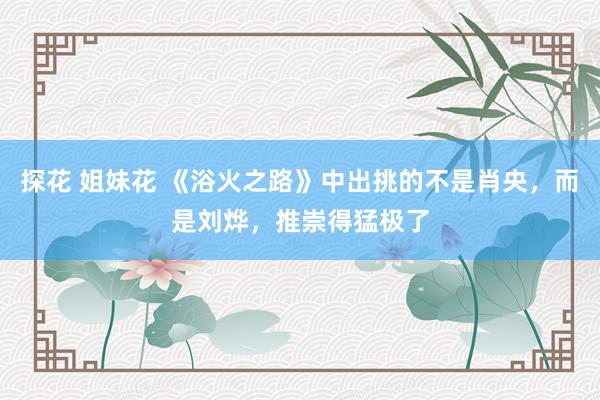 探花 姐妹花 《浴火之路》中出挑的不是肖央，而是刘烨，推崇得猛极了