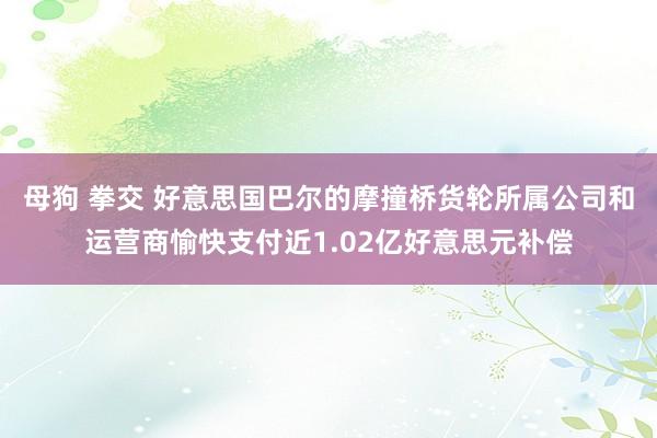 母狗 拳交 好意思国巴尔的摩撞桥货轮所属公司和运营商愉快支付近1.02亿好意思元补偿