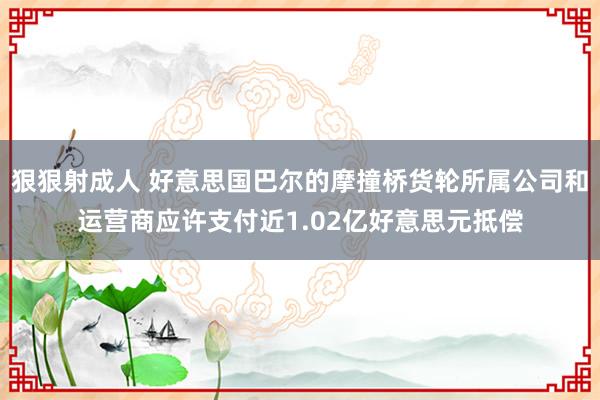 狠狠射成人 好意思国巴尔的摩撞桥货轮所属公司和运营商应许支付近1.02亿好意思元抵偿