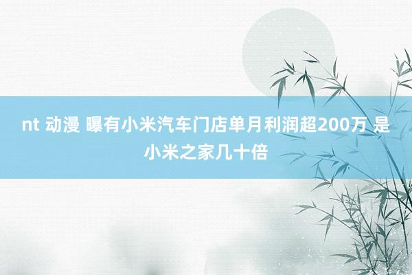 nt 动漫 曝有小米汽车门店单月利润超200万 是小米之家几十倍