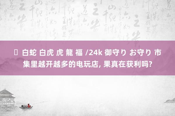 ✨白蛇 白虎 虎 龍 福 /24k 御守り お守り 市集里越开越多的电玩店, 果真在获利吗?