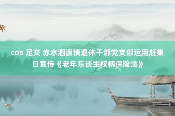 cos 足交 赤水泗渡镇退休干部党支部运用赶集日宣传《老年东谈主权柄保险法》