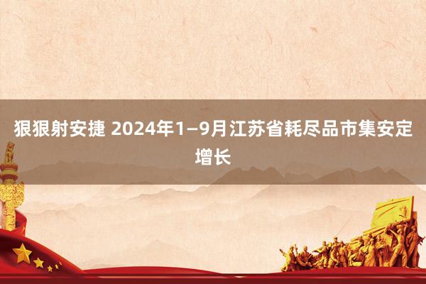 狠狠射安捷 2024年1—9月江苏省耗尽品市集安定增长