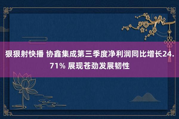 狠狠射快播 协鑫集成第三季度净利润同比增长24.71% 展现苍劲发展韧性