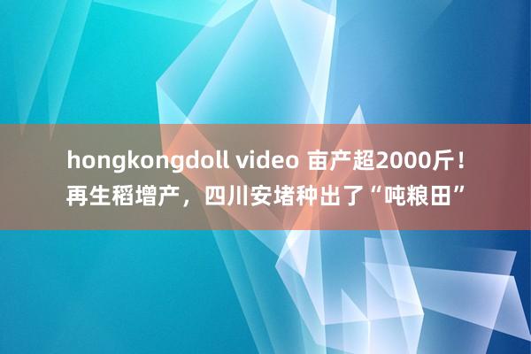 hongkongdoll video 亩产超2000斤！再生稻增产，四川安堵种出了“吨粮田”