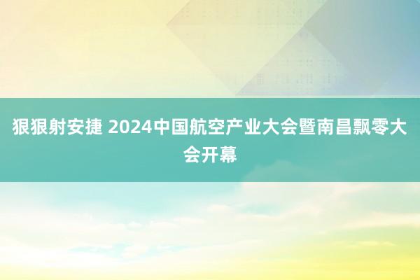 狠狠射安捷 2024中国航空产业大会暨南昌飘零大会开幕