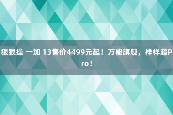 狠狠操 一加 13售价4499元起！万能旗舰，样样超Pro！